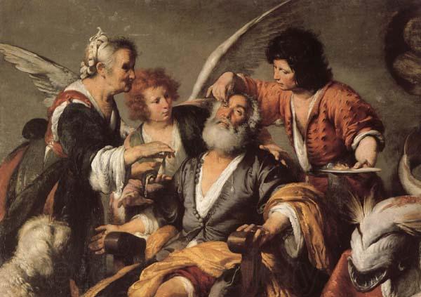 Bernardo Strozzi The Healing of Tobit Spain oil painting art